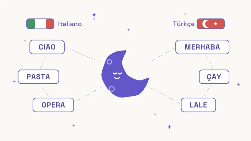 WordMatrix: Italian and Turkish